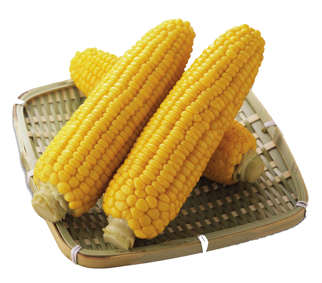 Daikyo Frozen Waxy Corn (whole) 2Pcs | 大京  甜糯玉米棒 2根 680g