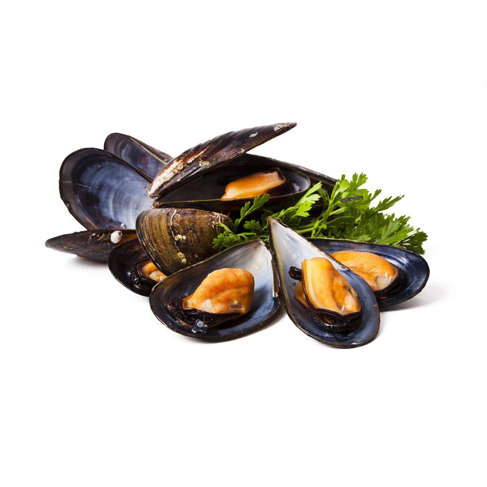 Dayseaday Whole Cooked Mussels 40/60 1kg | 熟青口 40/60 1kg