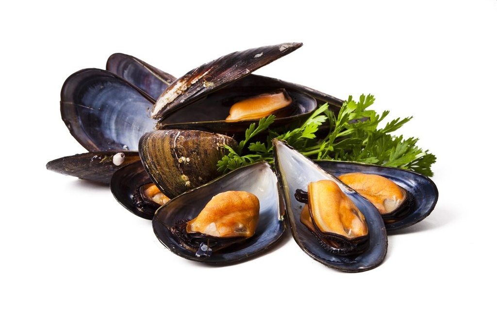 Dayseaday Whole Cooked Mussels 40/60 1kg | 熟青口 40/60 1kg