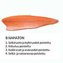 Salmon C Skinless | C Nahaton/kg | C 切 无皮无刺三文鱼