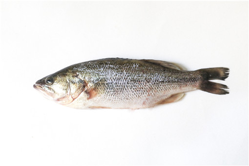 Seabass /kg by weight | 海鲈鱼 /kg 称重