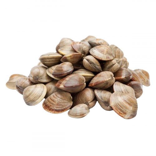 Cooked Brown Clam 40/60 1kg | 熟棕蛤 40/60 1kg