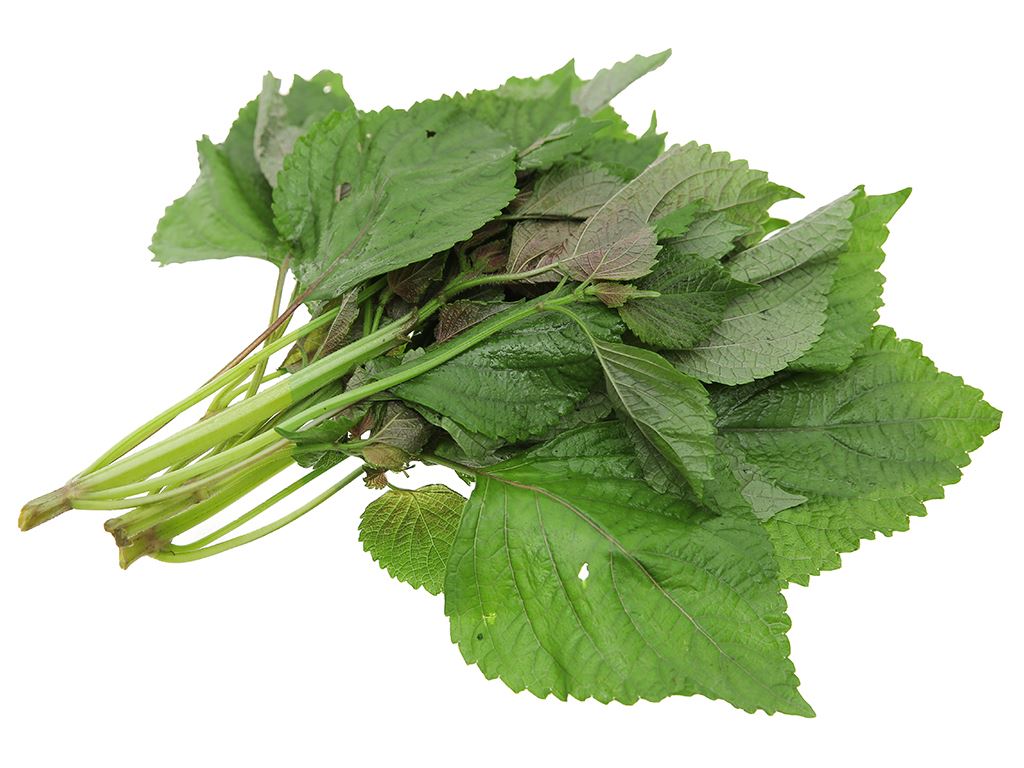 Shiso Leaves Green 15pc/pkt |  绿紫苏叶 15pc/包