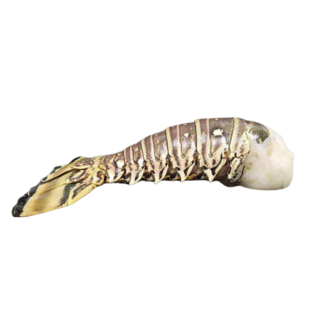 Frozen Retail Lobster Tail /kg Gross Weight by weight | 冰冻 零售 龙虾尾 /kg 含冰 毛重 称重