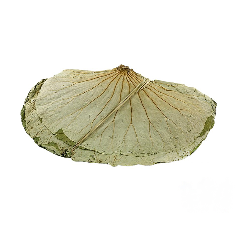 GL Lotus leaves 454g | 金百合 荷叶 454g