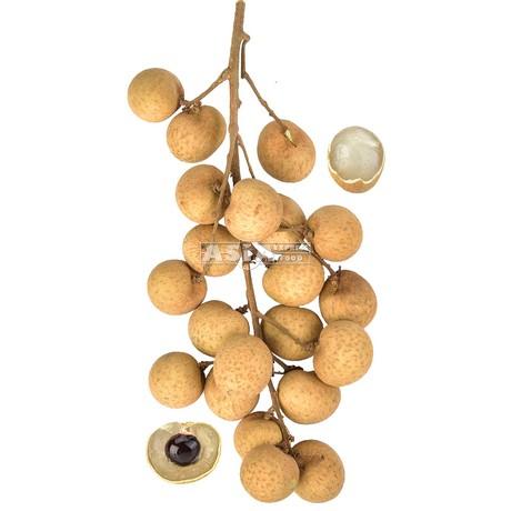 Fresh Longan 500g | 新鲜龙眼 500g