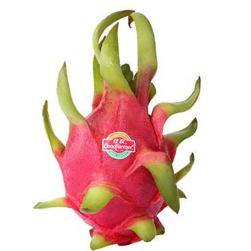 Dragon Fruit White 1kg | 越南 空运白心火龙果 1kg