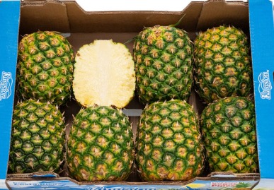 Crownless Pineapple 14kg/CTN | 清冠菠萝 整箱 14kg