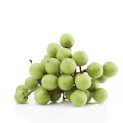 Turkey Berry Pea Eggphant 100g/pkt | 刺黄豆 水茄 100g/pkt