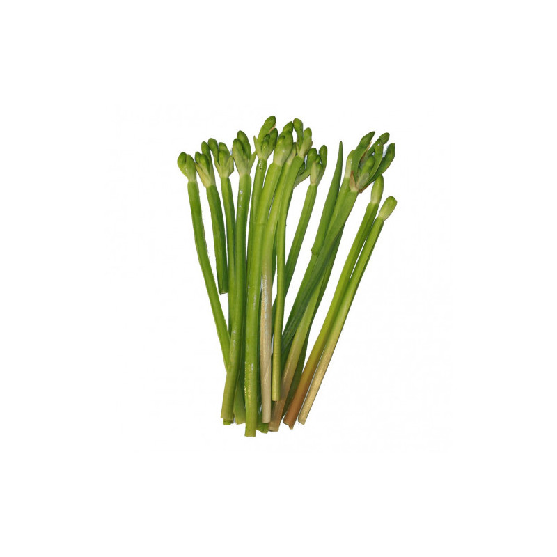 TH Kan Jong 100g | 泰国 黄花蔺 100g