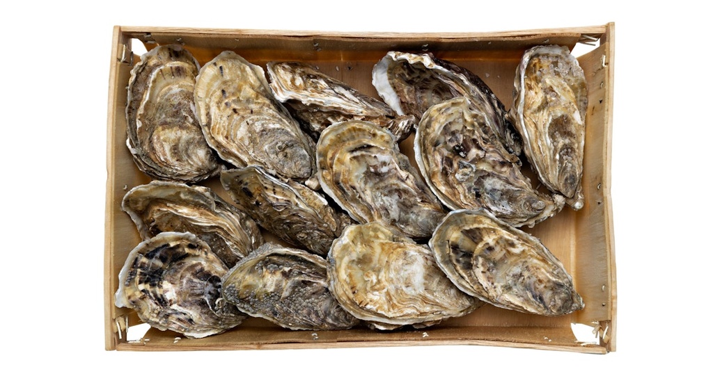 Fresh Oyster 1 pcs | 新鲜生蚝 1 pcs