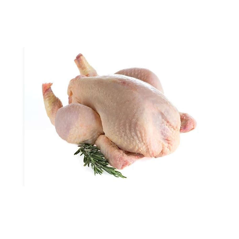 Old Chicken 1.3kg | 老鸡 1.3kg