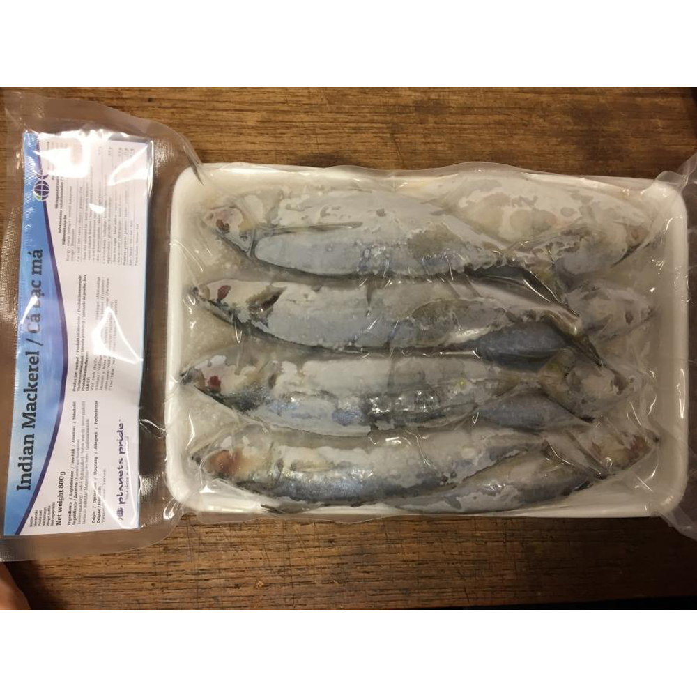 PLANETS PRIDE  Indian Mackerel 800g | PP 印度鲭鱼800g 