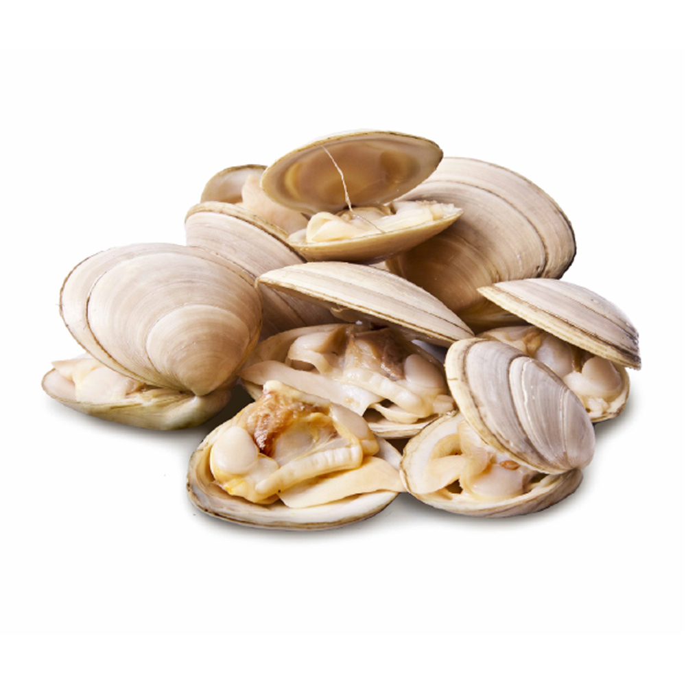 Frozen Cooked White Clams 60/80 1kg | 冰冻 熟白蛤 60/80 1kg