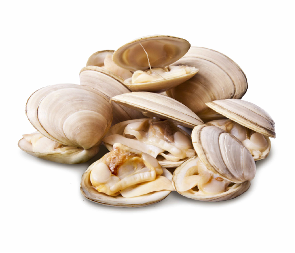 Frozen Cooked White Clams 60/80 1kg | 冰冻 熟白蛤 60/80 1kg