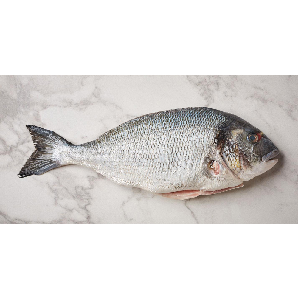 Dorade/Seabream 1KG | 鲷鱼 1kg