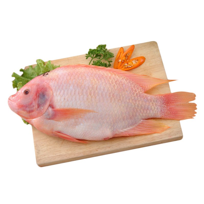 Red Tilapia G&S 1kg | 红色罗非鱼 1kg