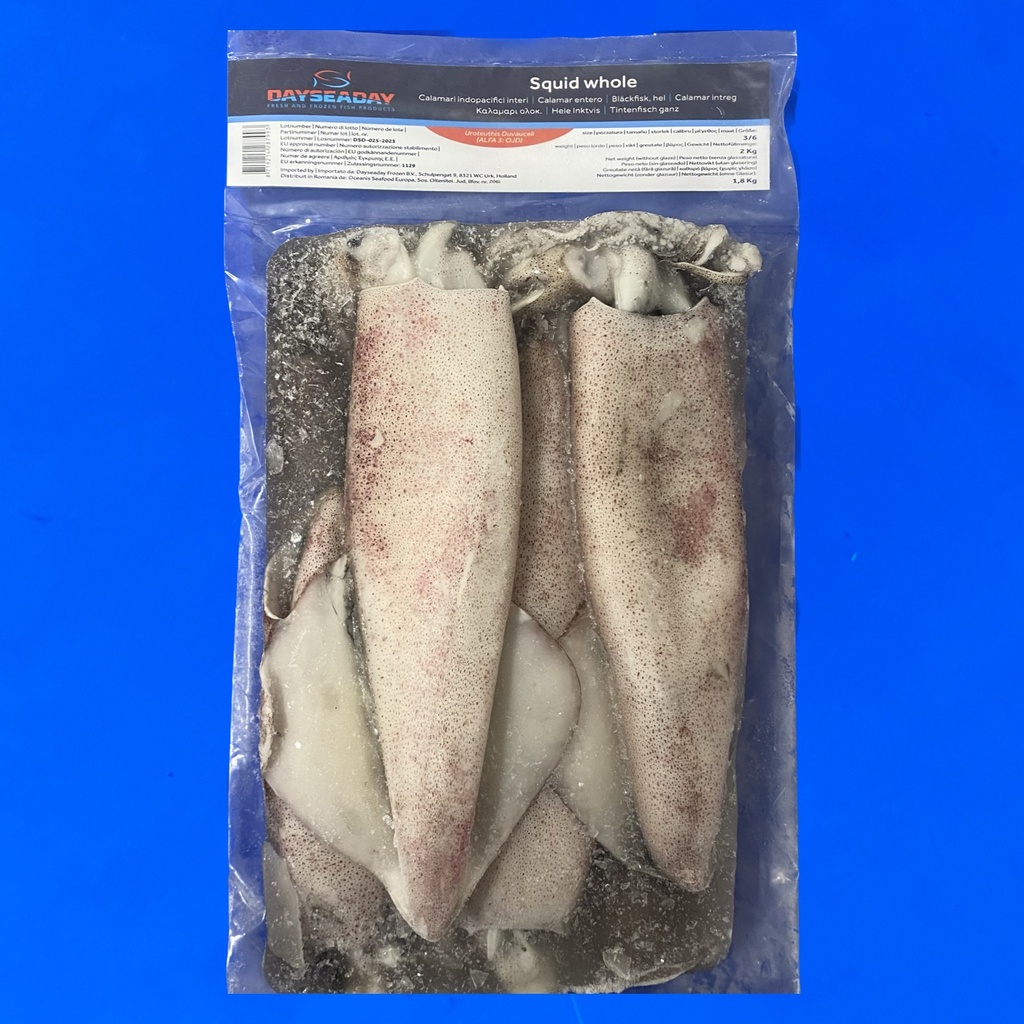 Dayseaday Whole Squid 3/6 2kg(Net 1.8kg) | Dayseaday 整条鱿鱼 3/6 2kg(Net 1.8kg)