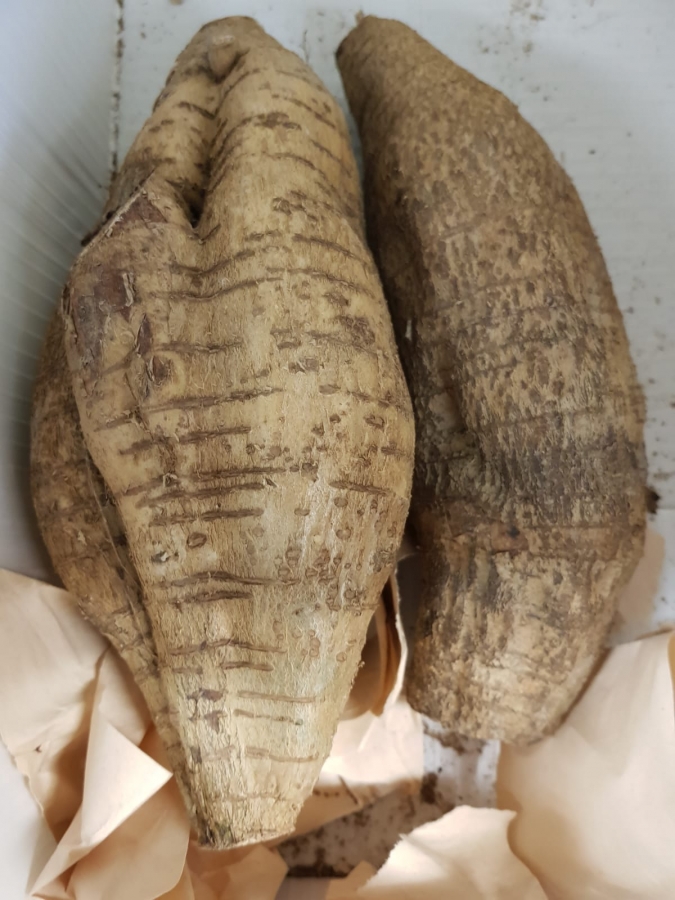 Arrow Root 1kg | 粉葛 1kg