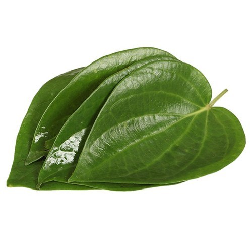 Betel Leaf 100g/PKT | 槟榔叶100g / pkt