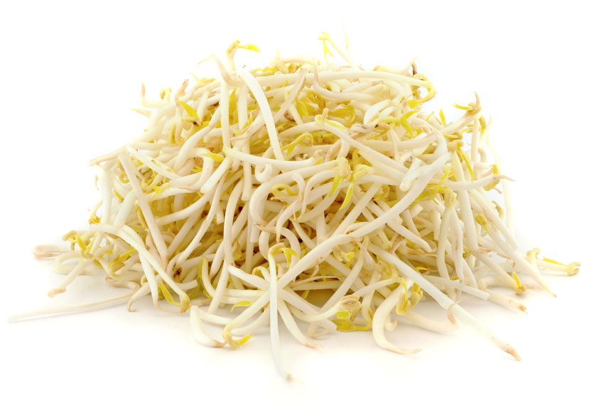 Ituja / Bean Sprouts | 新鲜 绿豆芽 1kg