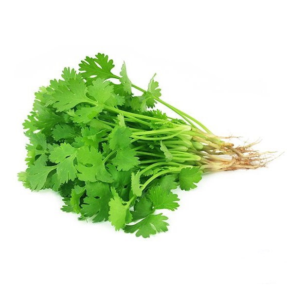 Fresh coriander / kg | 新鲜 香菜 (称重)