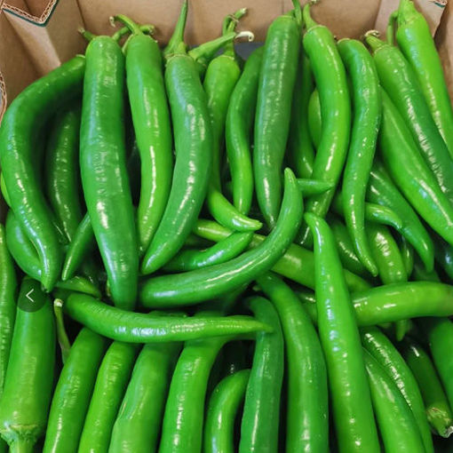 Fresh Green Pepper 1kg | 新鲜 青尖椒 1kg