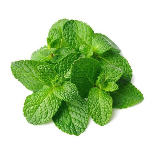 Fresh mint /pkt | 新鲜 薄荷叶 /把