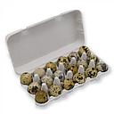 Fresh Quail Eggs 12pcs | 鹌鹑蛋 12个