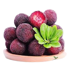 Fresh Waxberry  450g | 新鲜 杨梅 450g