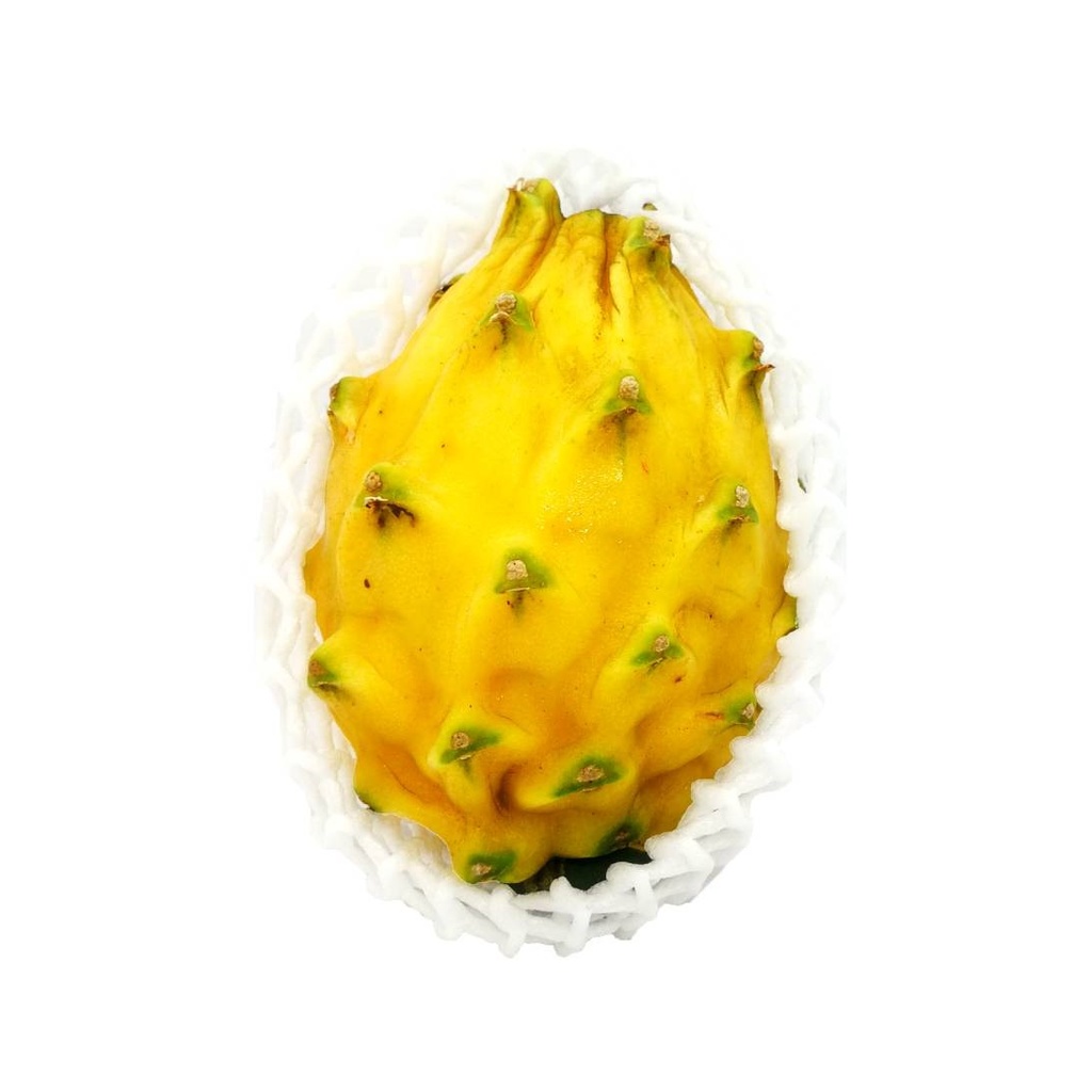 Fresh Yellow Pitaya /1kg | 新鲜 麒麟果 / 1kg