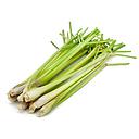 Lemongrass (whole) 1kg | 新鲜 香茅 (整条) 1kg