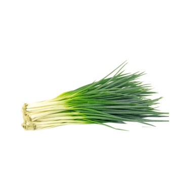 Spring onion pkt | 新鲜 香葱 /把