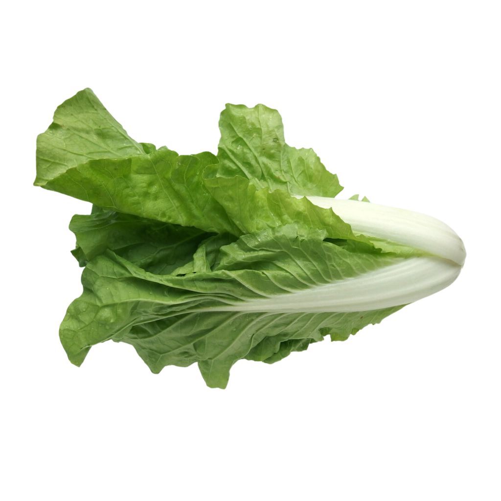 Royal Cabbage /kg | 黄金菜 /kg