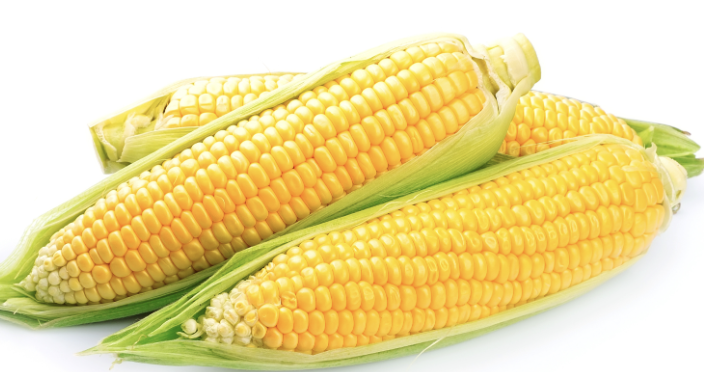 Fresh Sweet Corn/Unit丨新鲜 甜玉米/个