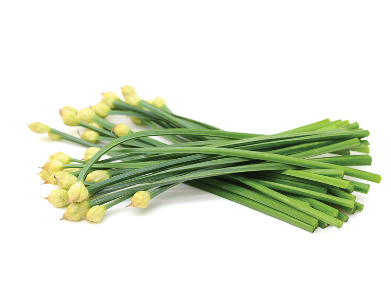 Guichoi Chive Flower 100g | 韭菜花 100g