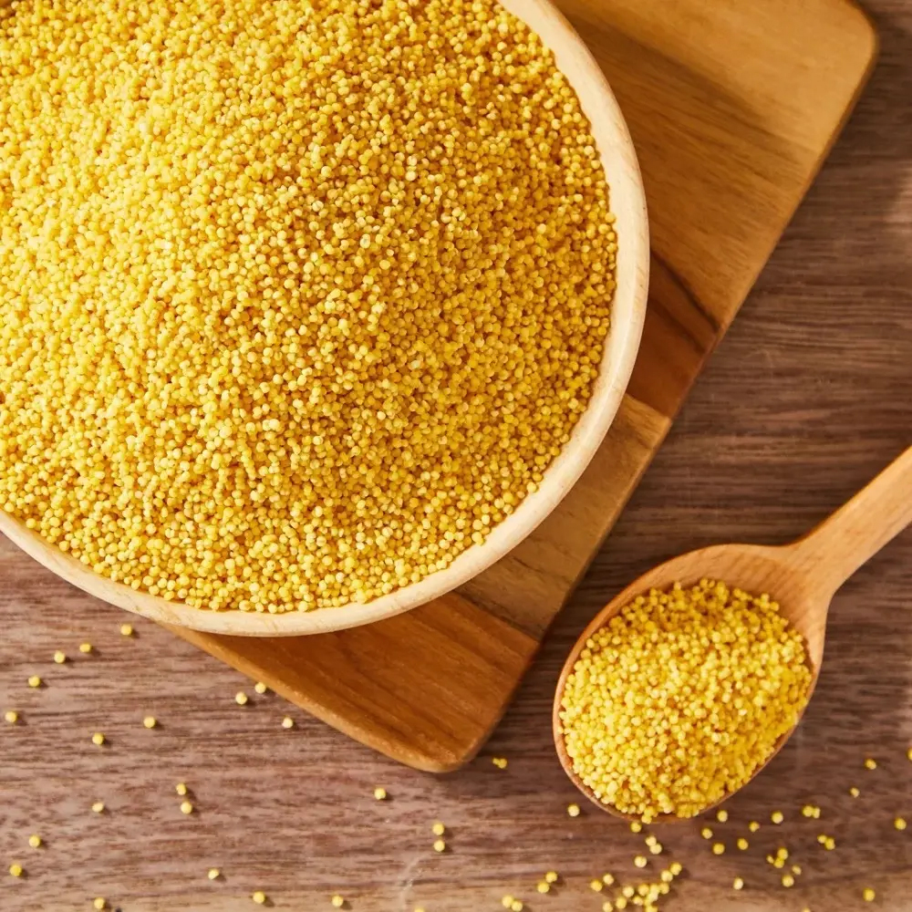 Fresh Millet 5KG | 新鲜 小米 5KG