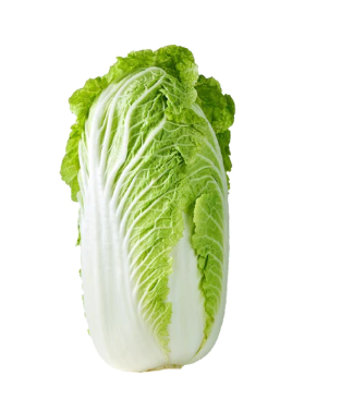 Chinese Cabbage 10 kg/ctn | 中国大白菜 整箱 10 kg