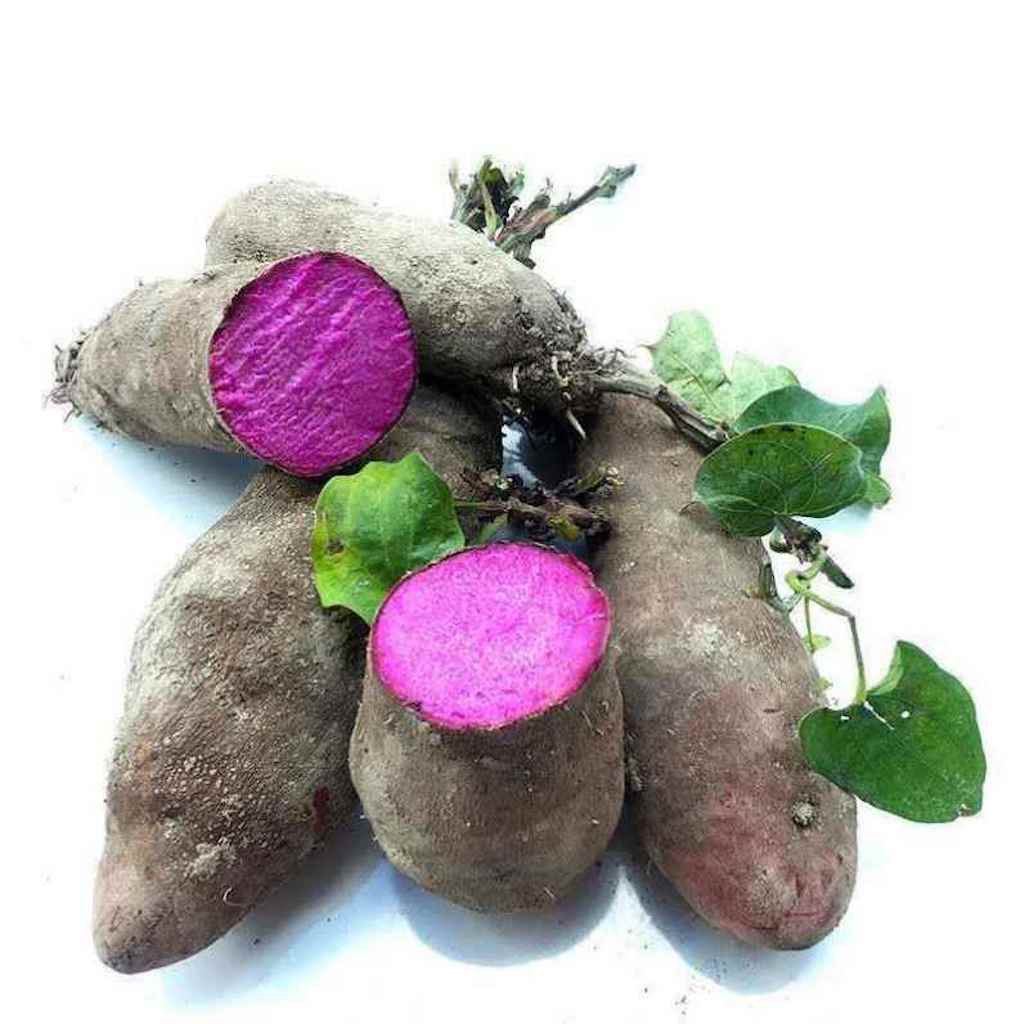 Fresh Purple Yam  1kg | 新鲜 紫淮山/紫人参 1kg