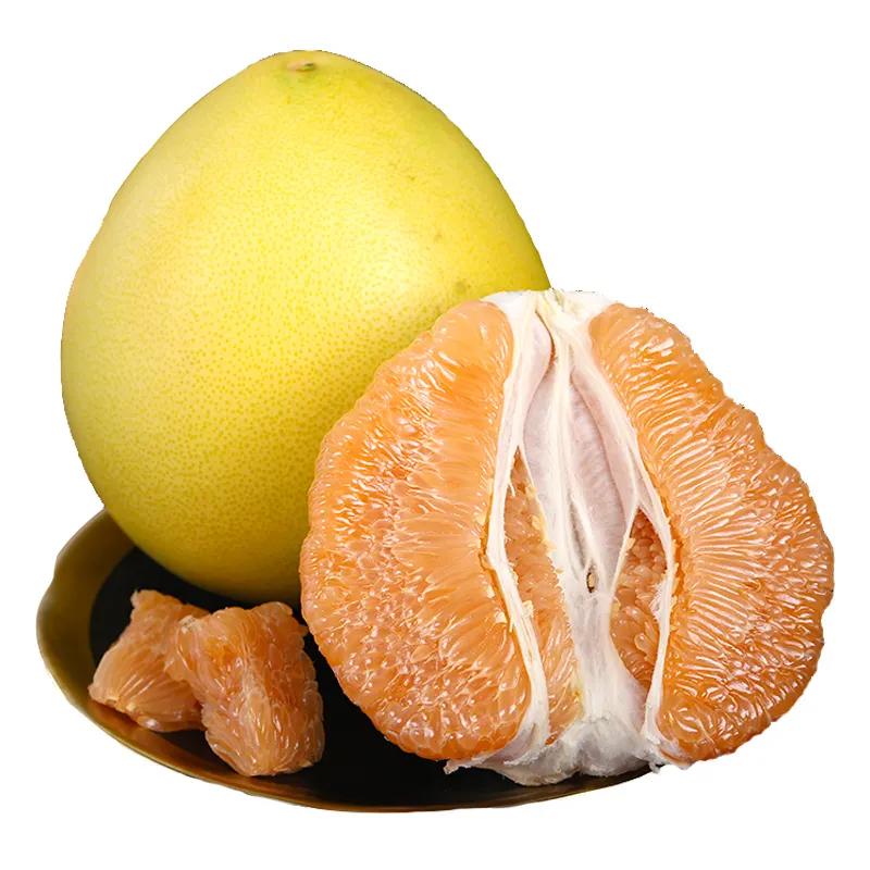 Fresh Golden Pomelo 1kg | 新鲜 黄金柚 1kg