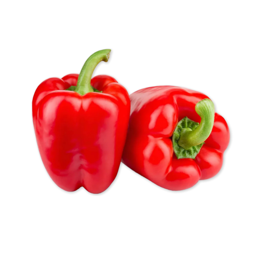 Fresh Red Capsicum 5kg/CTN | 红椒(灯笼椒) 整箱 5kg