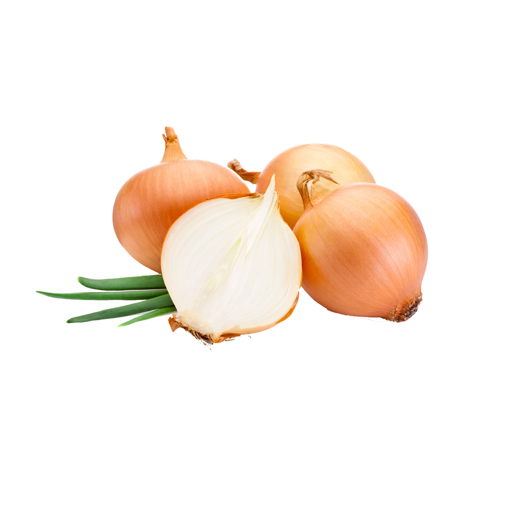 Yellow Onion 10kg/ctn | 白洋葱 大号 整箱 10kg