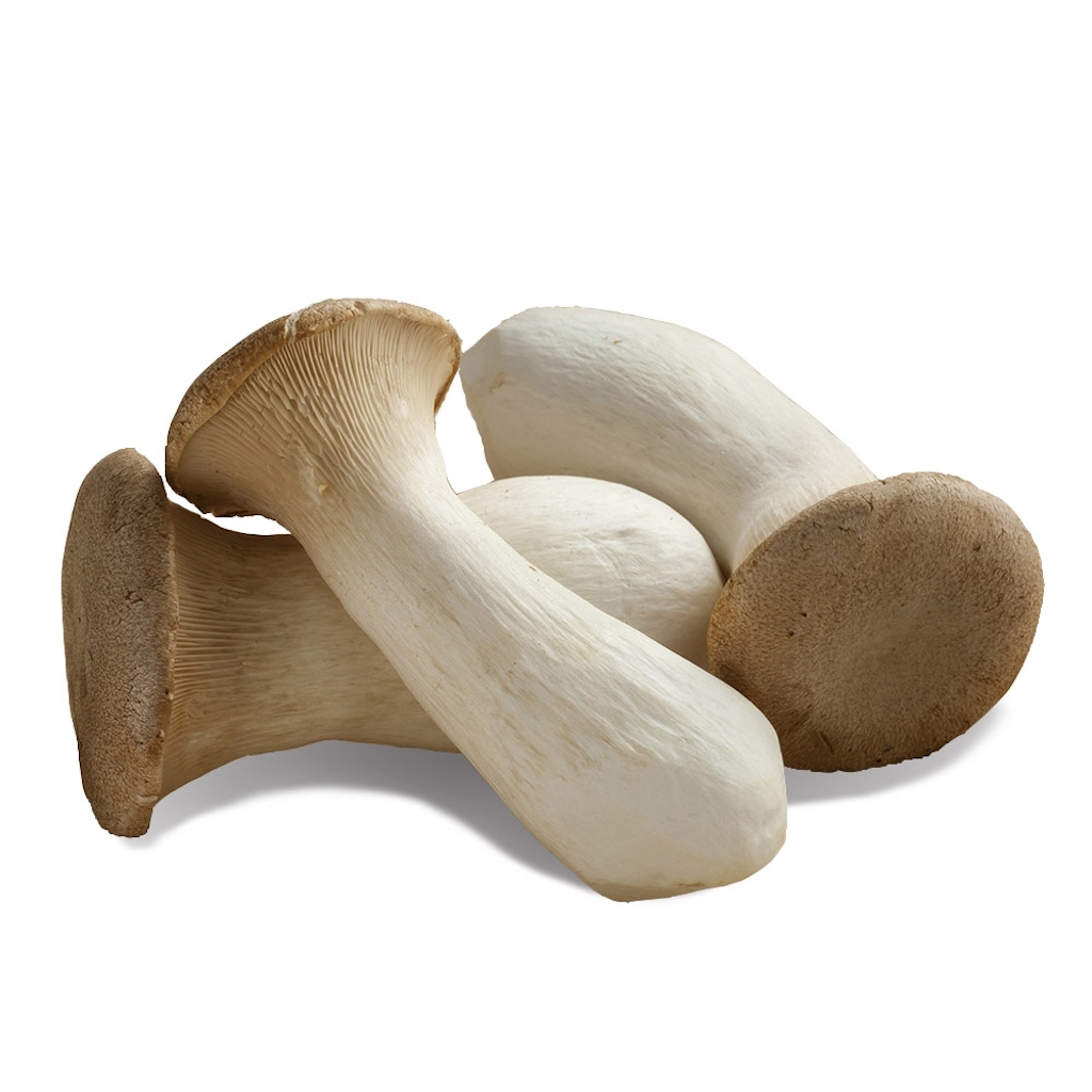 King Oyster Mushroom 200g | 盒装  杏鲍菇 200g