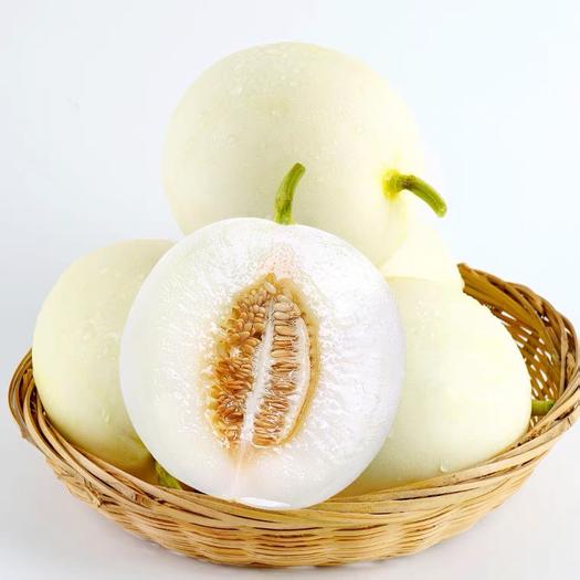 Fresh Muskmelon 1kg | 新鲜 白玉甜瓜 1kg