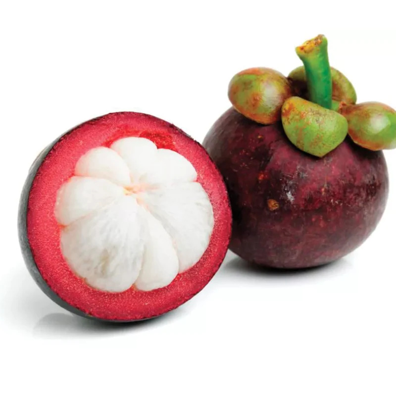 Mangosteen 500g | 山竹 500g/盒