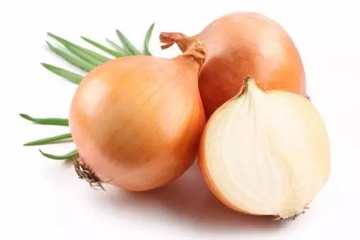 Fresh Yellow Onion kg | 新鲜 白洋葱 kg