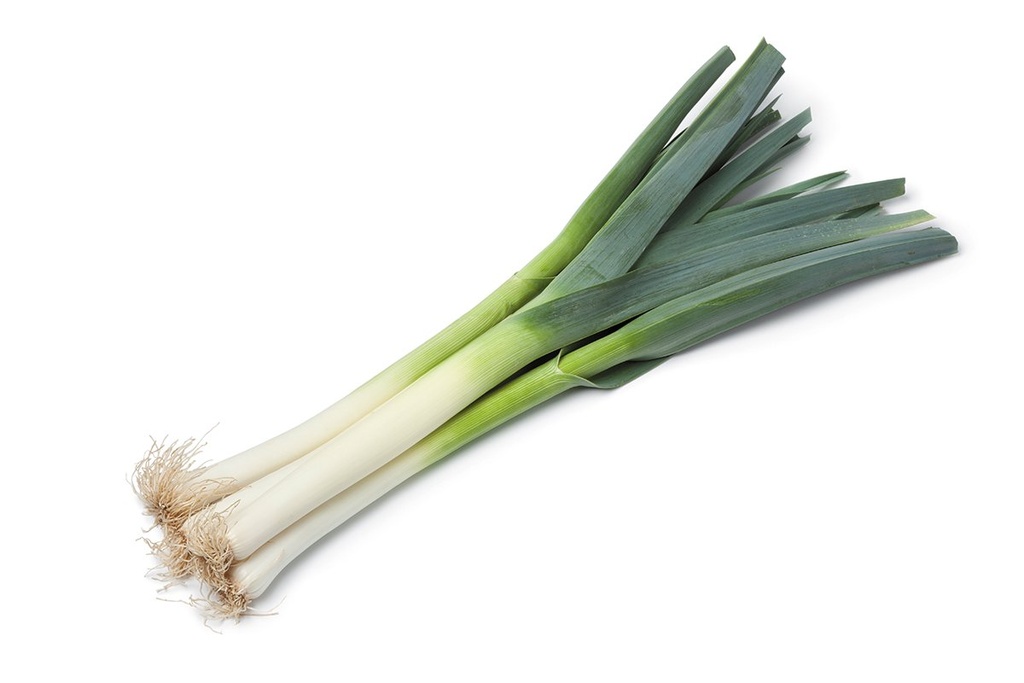 Fresh Leek kg | 新鲜 大葱 kg