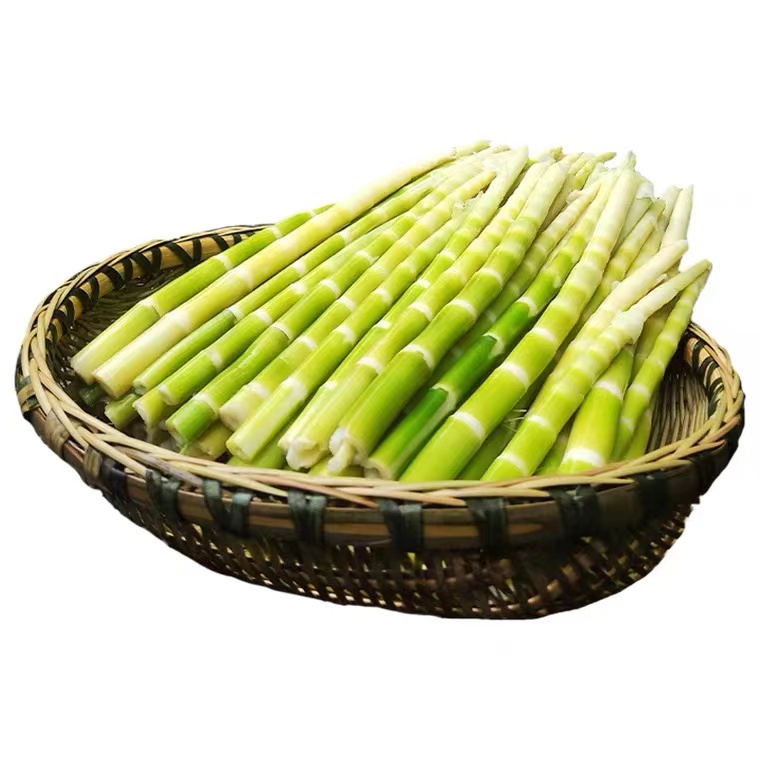 Boiled Bamboo Thin 500g | 翡翠笋 500g