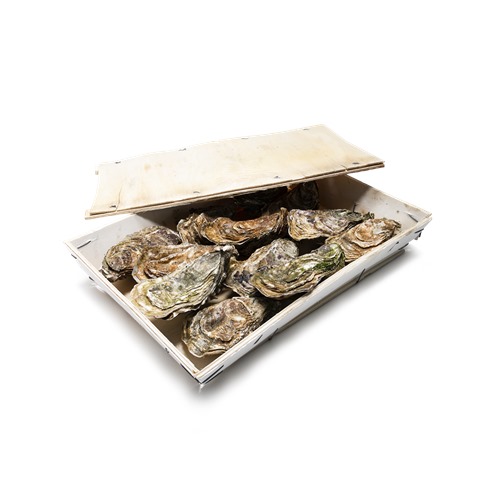 Fresh Oysters 12 pieces | 新鲜生蚝 12只