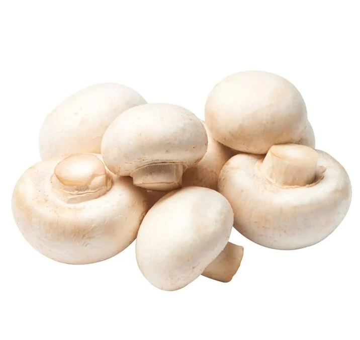 Fresh Champignon Mushroom 1kg | 新鲜口蘑 1kg